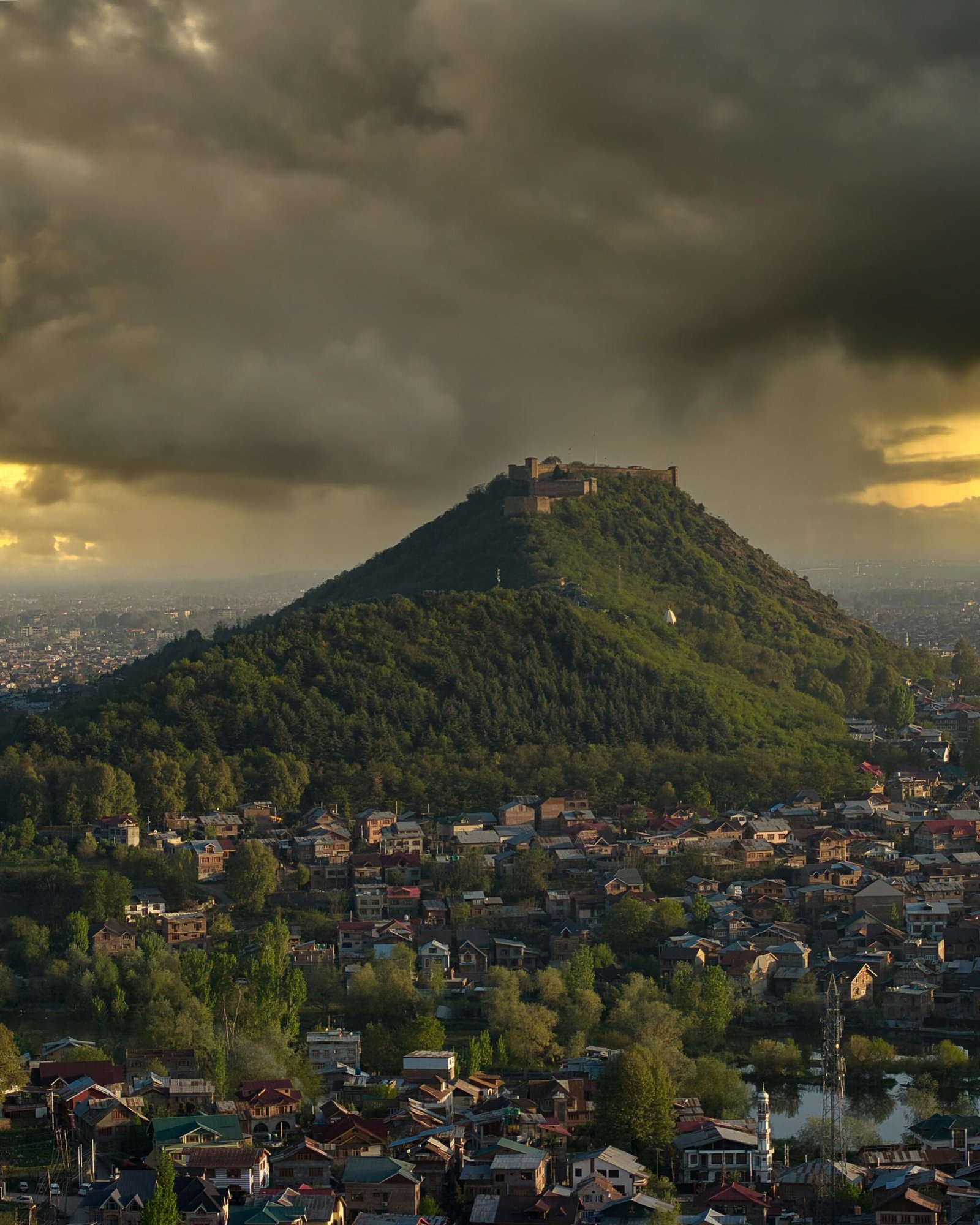 pexels imadclicks 31628016 scaled