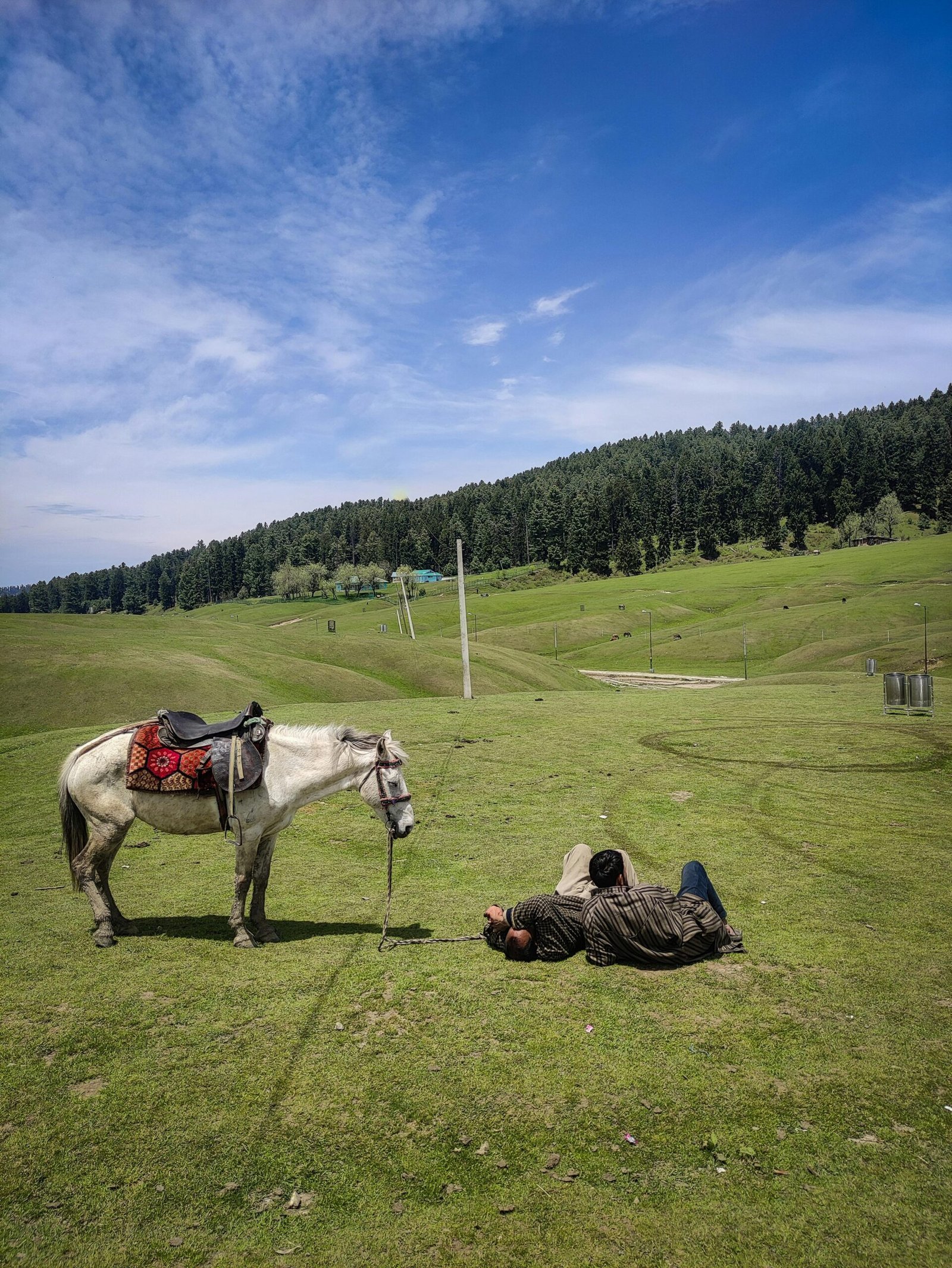 pexels wanderinglenses 16827913 scaled